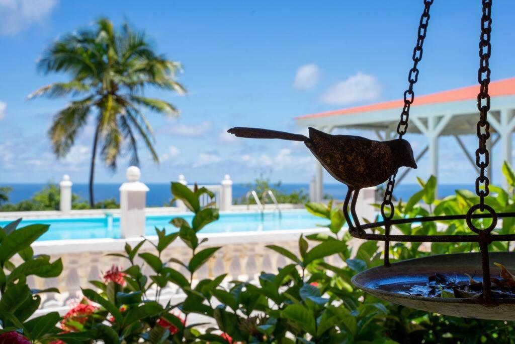 Domaine Des Tourterelles Villa Capesterre ภายนอก รูปภาพ