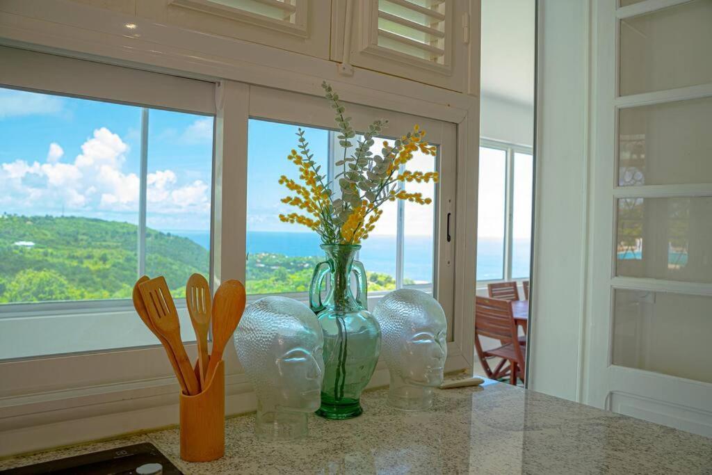 Domaine Des Tourterelles Villa Capesterre ภายนอก รูปภาพ