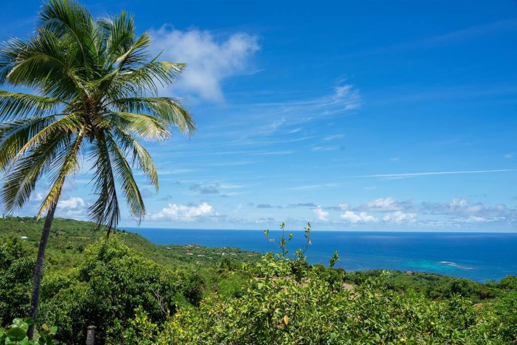 Domaine Des Tourterelles Villa Capesterre ภายนอก รูปภาพ