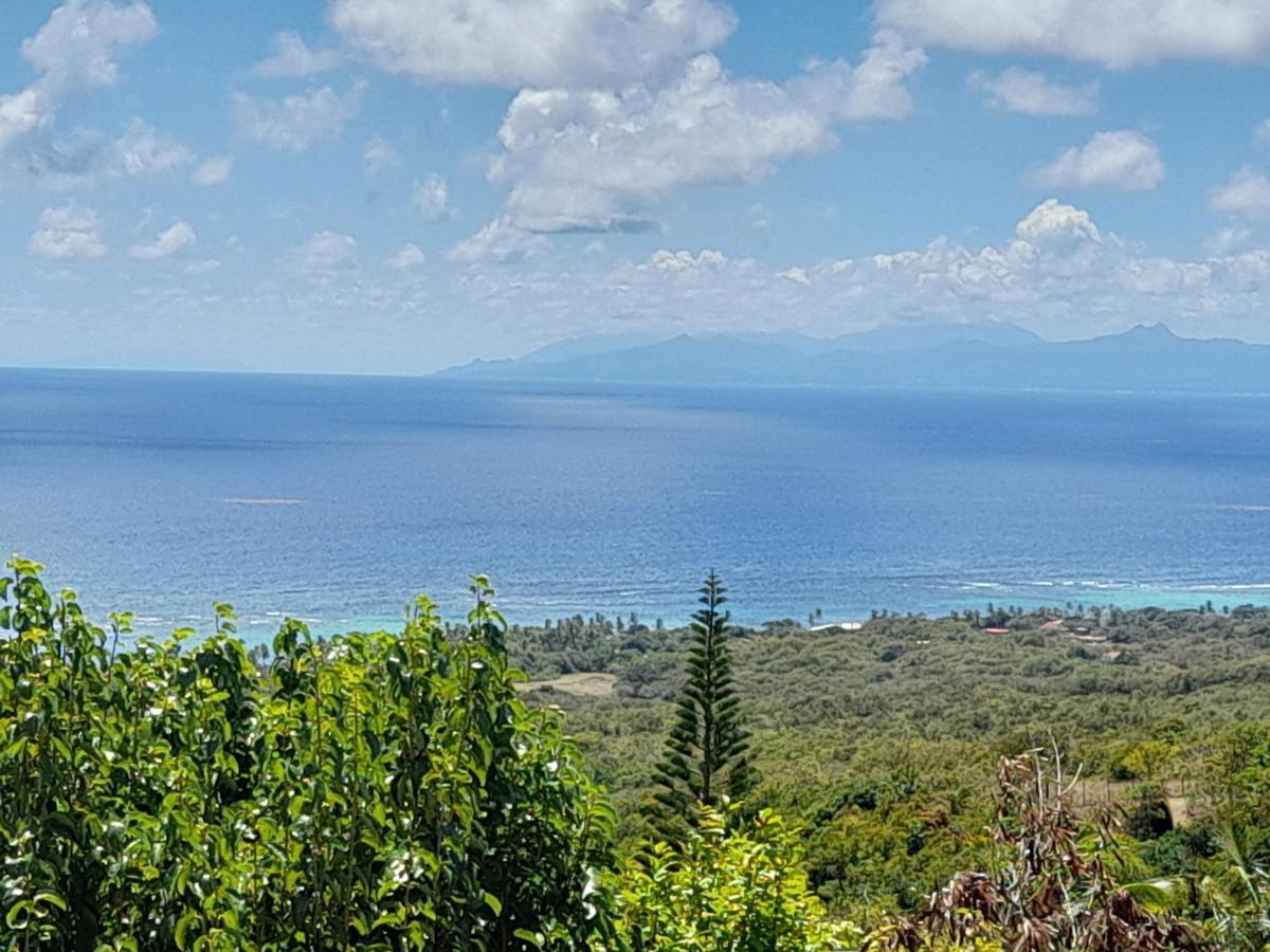 Domaine Des Tourterelles Villa Capesterre ภายนอก รูปภาพ