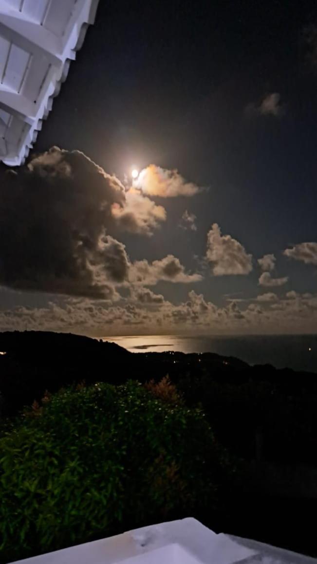 Domaine Des Tourterelles Villa Capesterre ภายนอก รูปภาพ